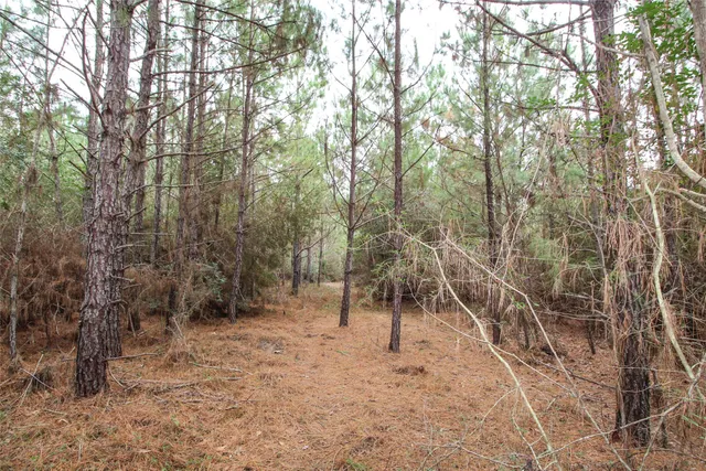 $2,120,000 | 1 West Rosewood Pkwy Point, Oakhurst, TX 77359