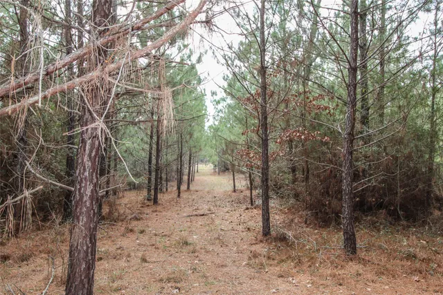 $2,120,000 | 1 West Rosewood Pkwy Point, Oakhurst, TX 77359