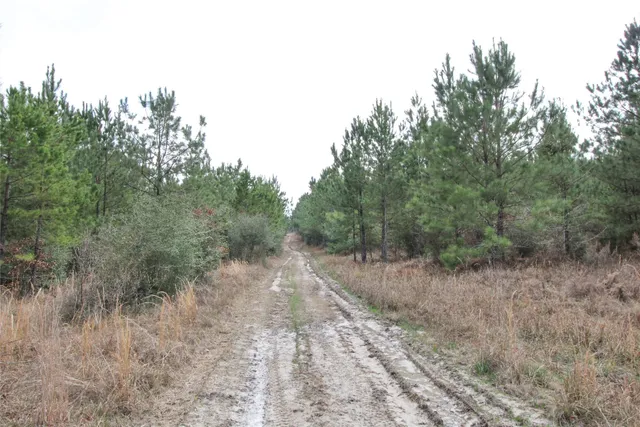 $2,120,000 | 1 West Rosewood Pkwy Point, Oakhurst, TX 77359