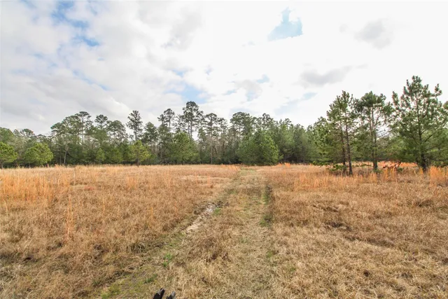 $2,120,000 | 1 West Rosewood Pkwy Point, Oakhurst, TX 77359
