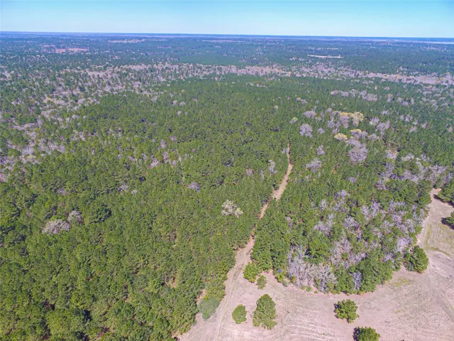 $2,120,000 | 1 West Rosewood Pkwy Point, Oakhurst, TX 77359
