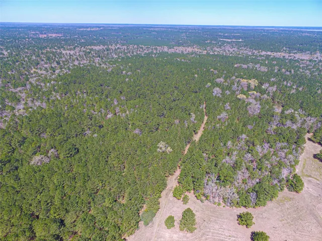 $2,120,000 | 1 West Rosewood Pkwy Point, Oakhurst, TX 77359