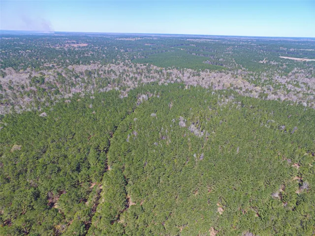 $2,120,000 | 1 West Rosewood Pkwy Point, Oakhurst, TX 77359