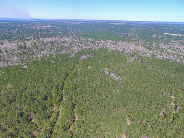 $2,120,000 | 1 West Rosewood Pkwy Point, Oakhurst, TX 77359