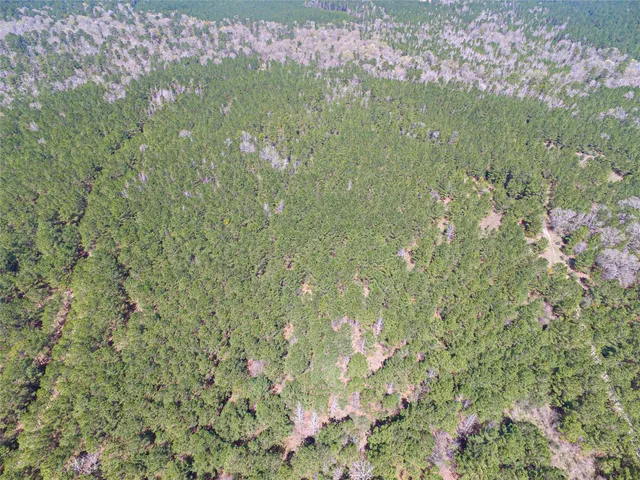 $2,120,000 | 1 West Rosewood Pkwy Point, Oakhurst, TX 77359