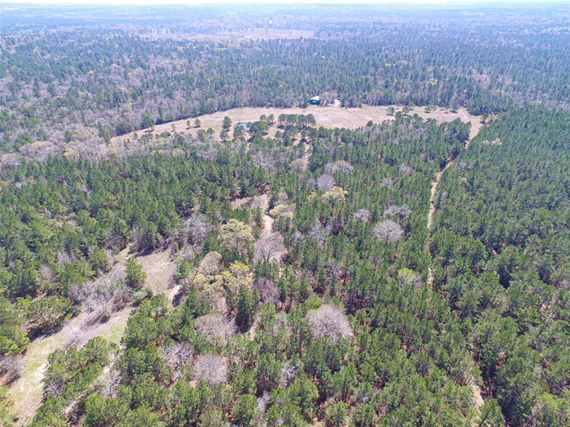 $2,120,000 | 1 West Rosewood Pkwy Point, Oakhurst, TX 77359