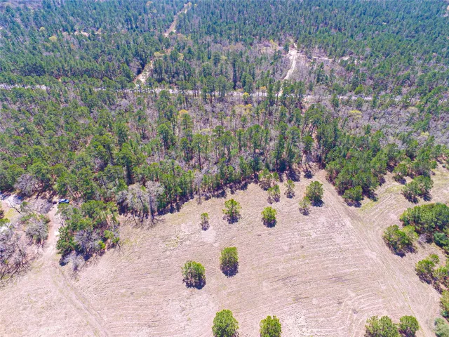 $2,120,000 | 1 West Rosewood Pkwy Point, Oakhurst, TX 77359