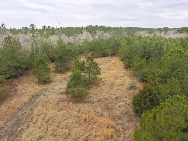 $2,120,000 | 1 West Rosewood Pkwy Point, Oakhurst, TX 77359
