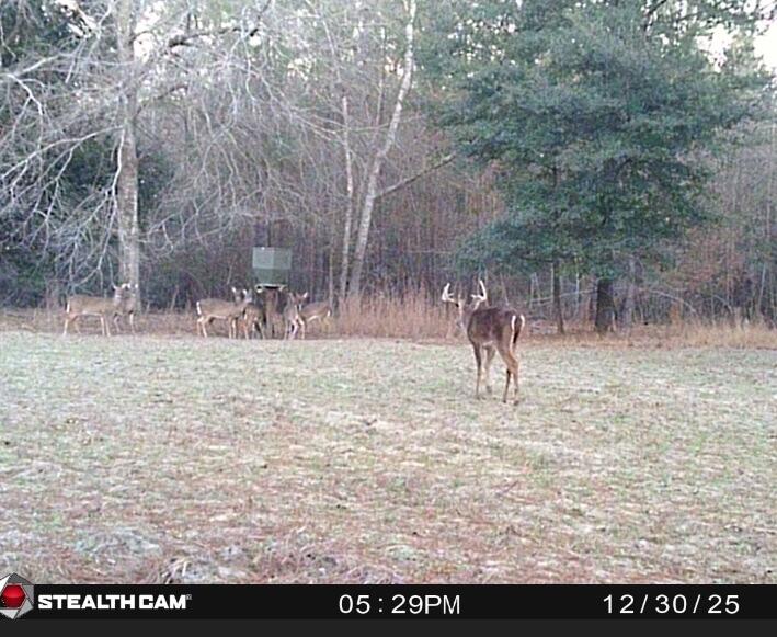 7901 State Rd S-6-169 Blackville, SC 29817 - Photo 61 of 89