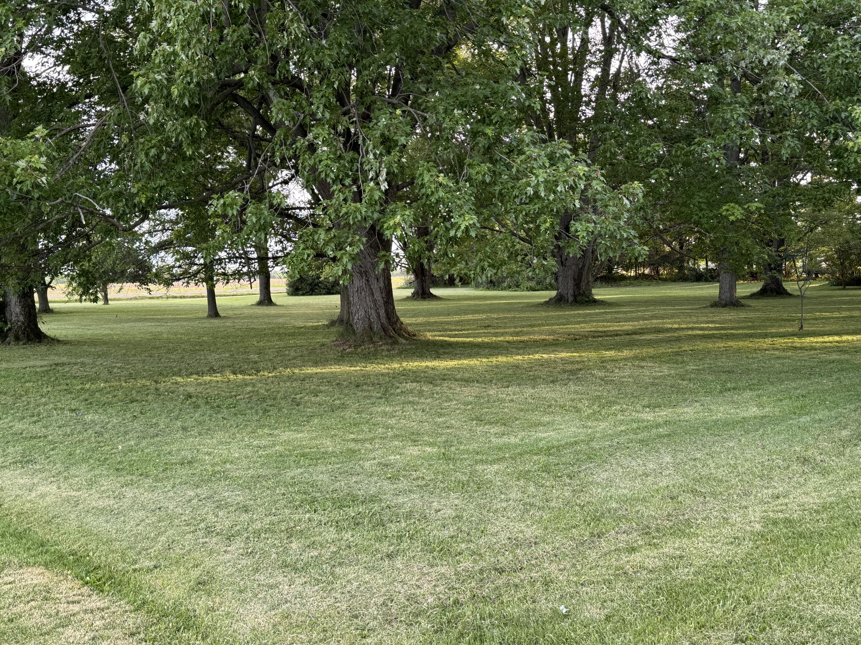 12029 Dutton Road Rockford, OH 45882 - Photo 3 of 49