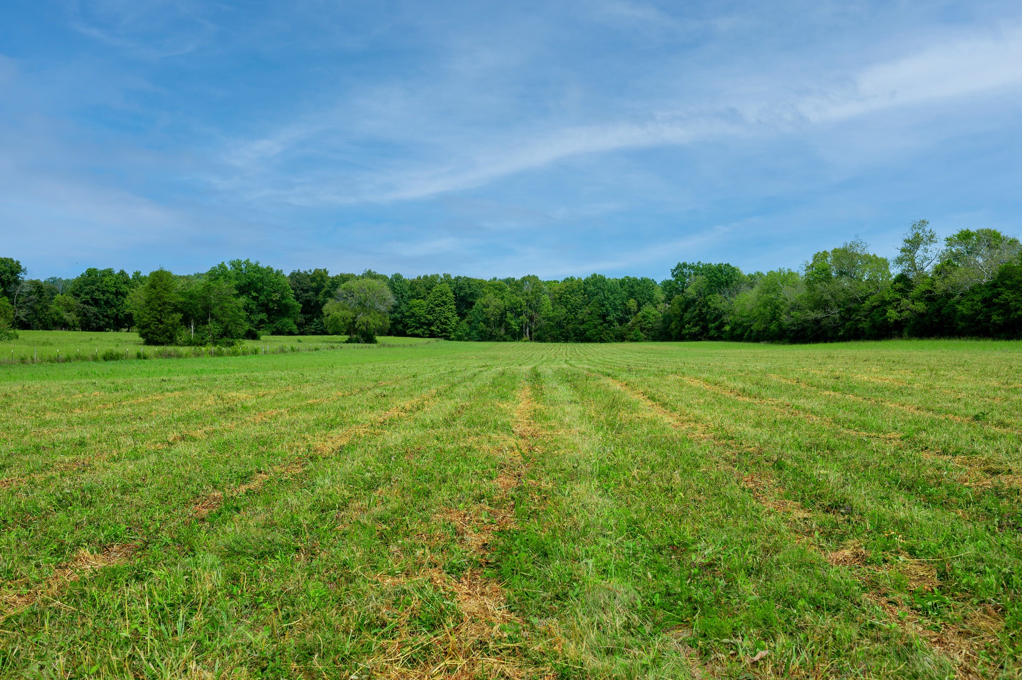 1550 South Commerce Road Watertown, TN 37184 - Photo 1 of 15 Gallery Image 1