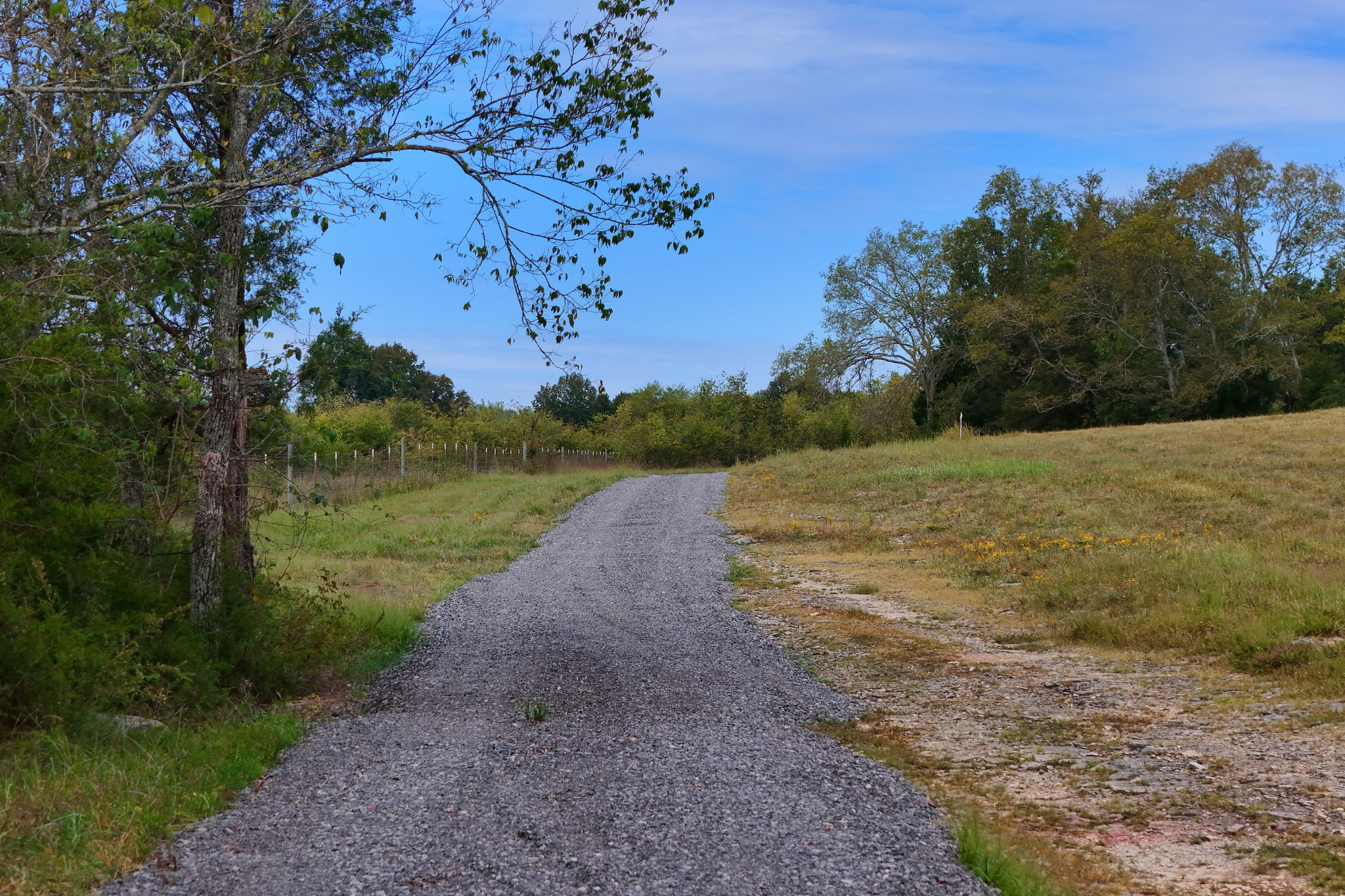 1550 South Commerce Road Watertown, TN 37184 - Photo 4 of 15 Gallery Image 4