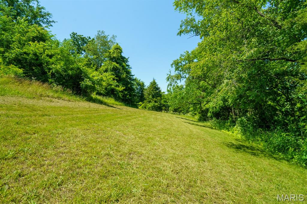 68 Dillard Mill Road Davisville, MO 65456 - Photo 41 of 64