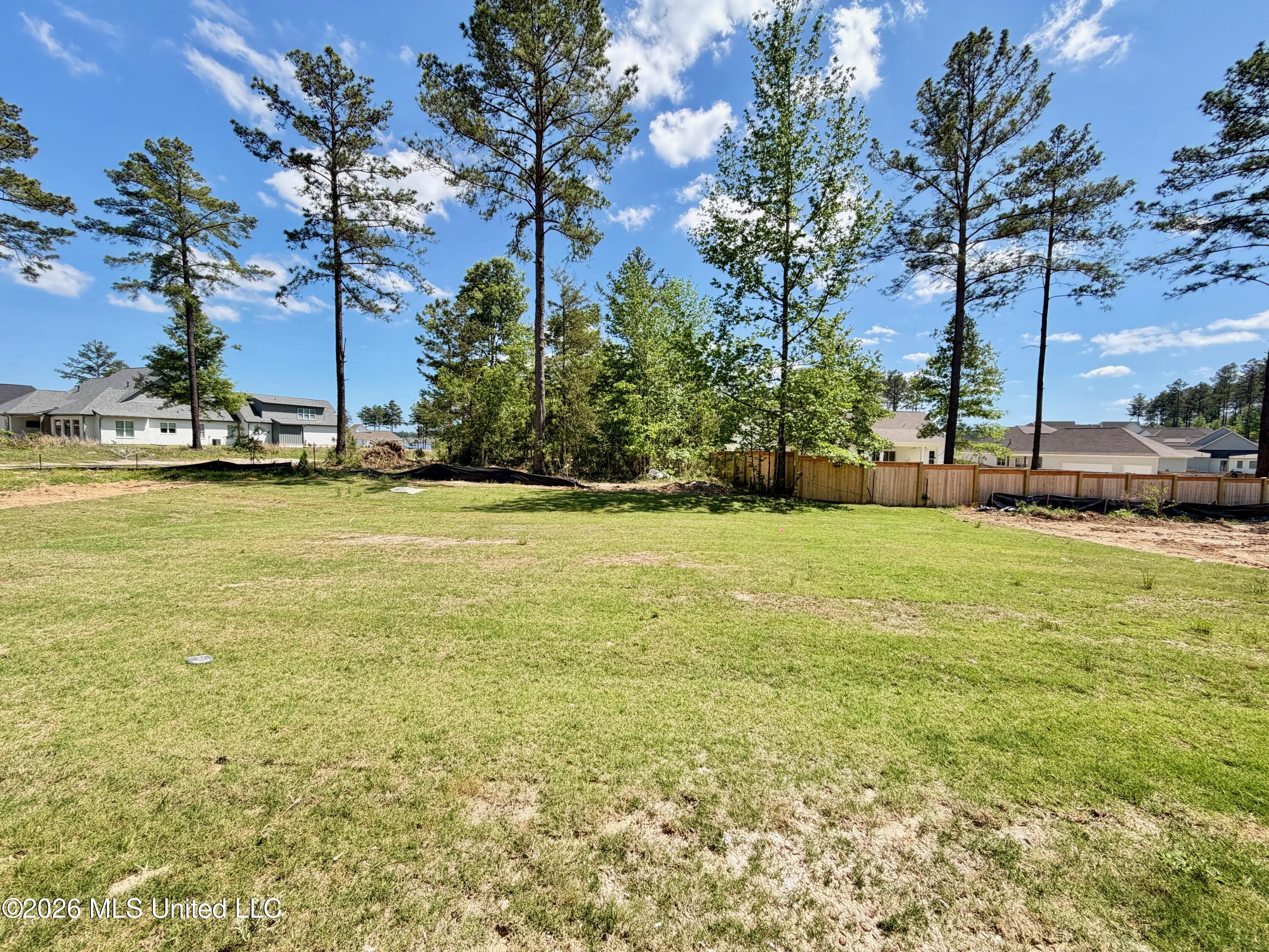 384 Wellstone Place Madison, MS 39110 - Photo 17 of 35 Library - 34 of 36