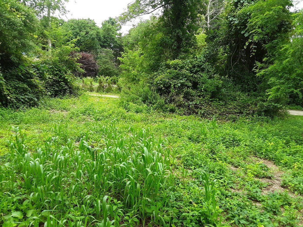 1 Drift Road Westport, MA 02790 - Photo 12 of 19 Gallery Image 12