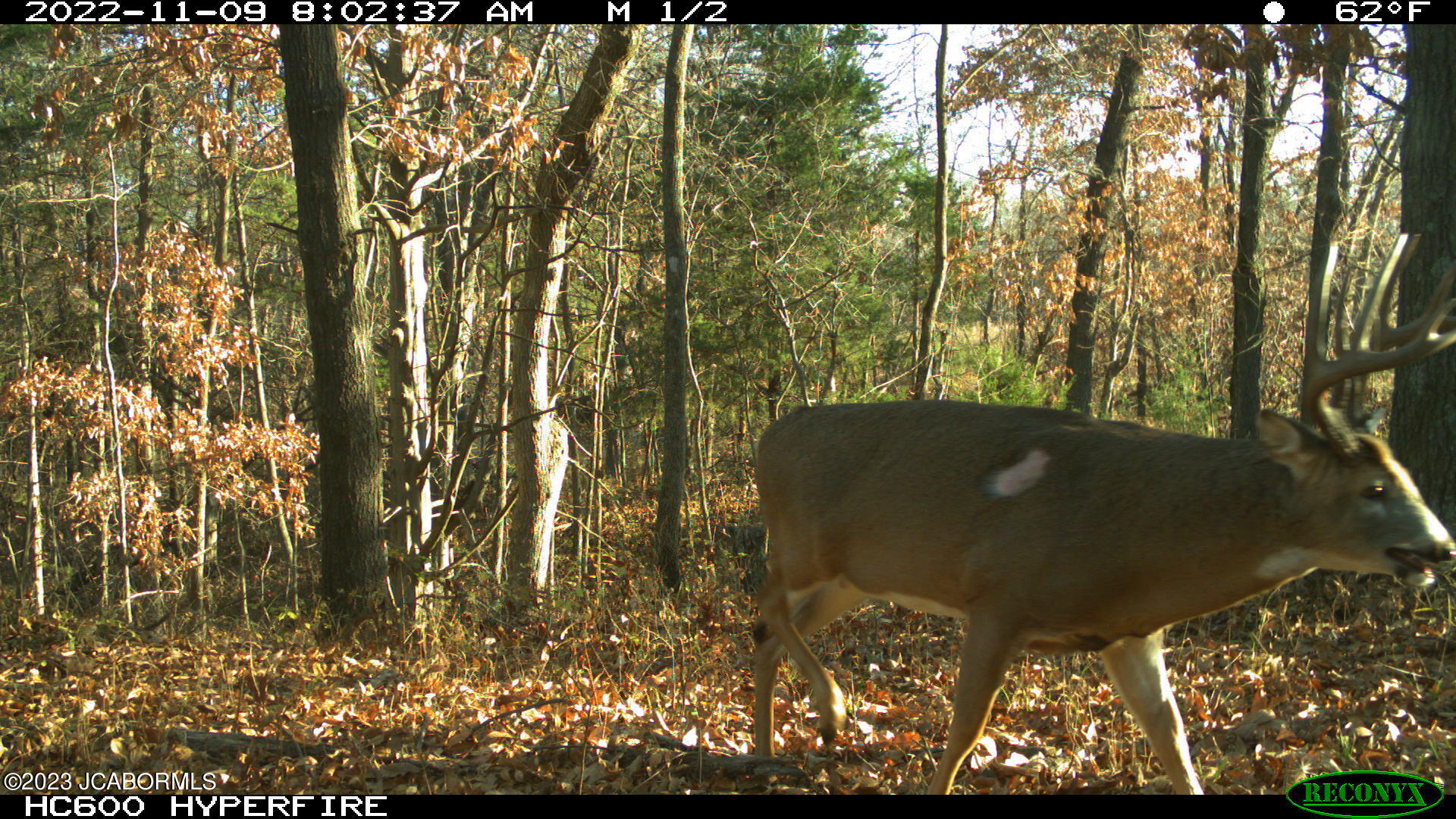 Tbd Big Lick Road Boonville, MO 65233 - Photo 35 of 59
