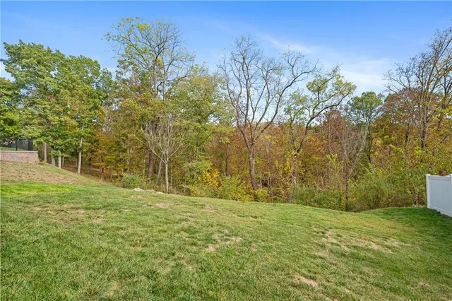 a view of outdoor space with trees all around