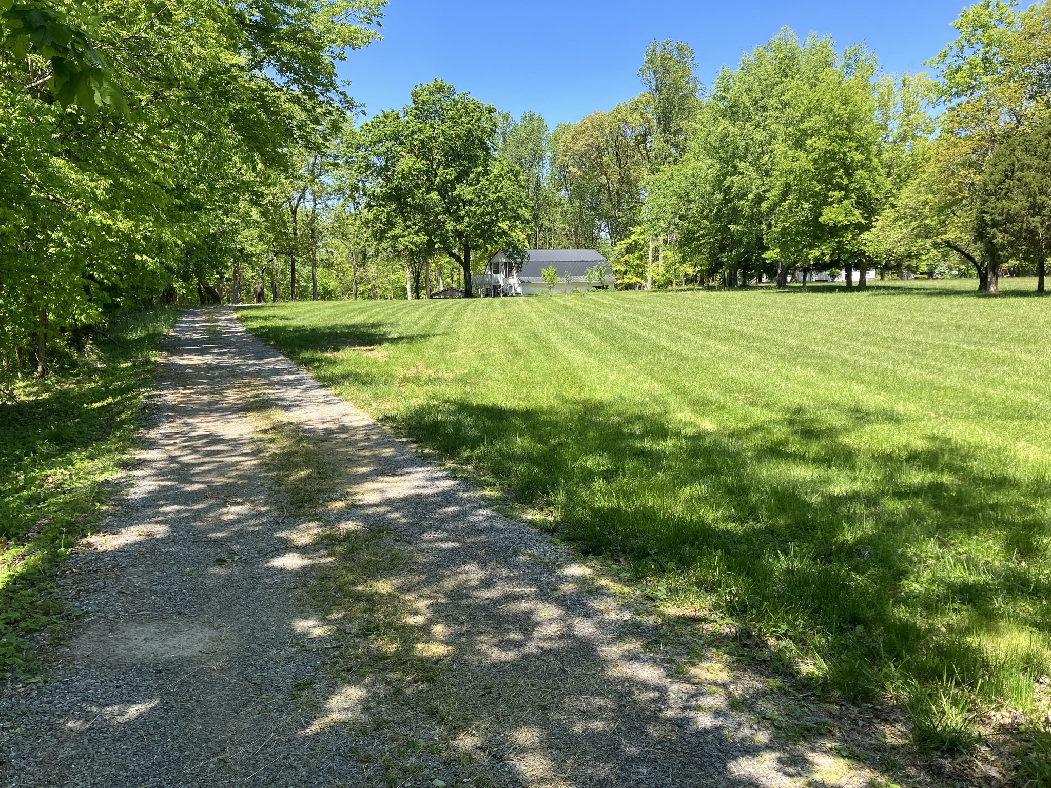 255 S Road Cottontown, TN 37048 - Photo 3 of 35 a view of a trees with a yard