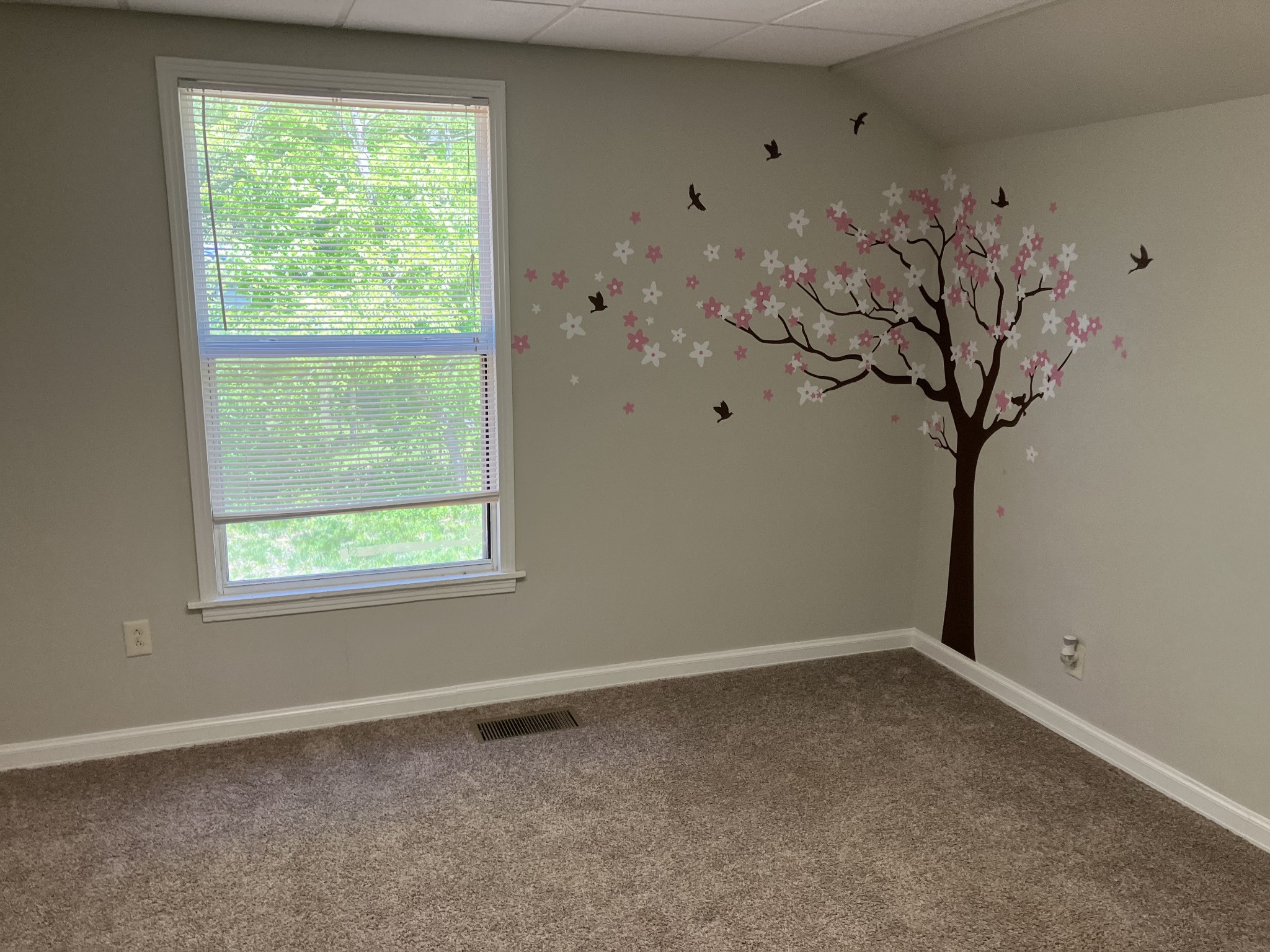 255 S Road Cottontown, TN 37048 - Photo 31 of 35 a view of a window in a room