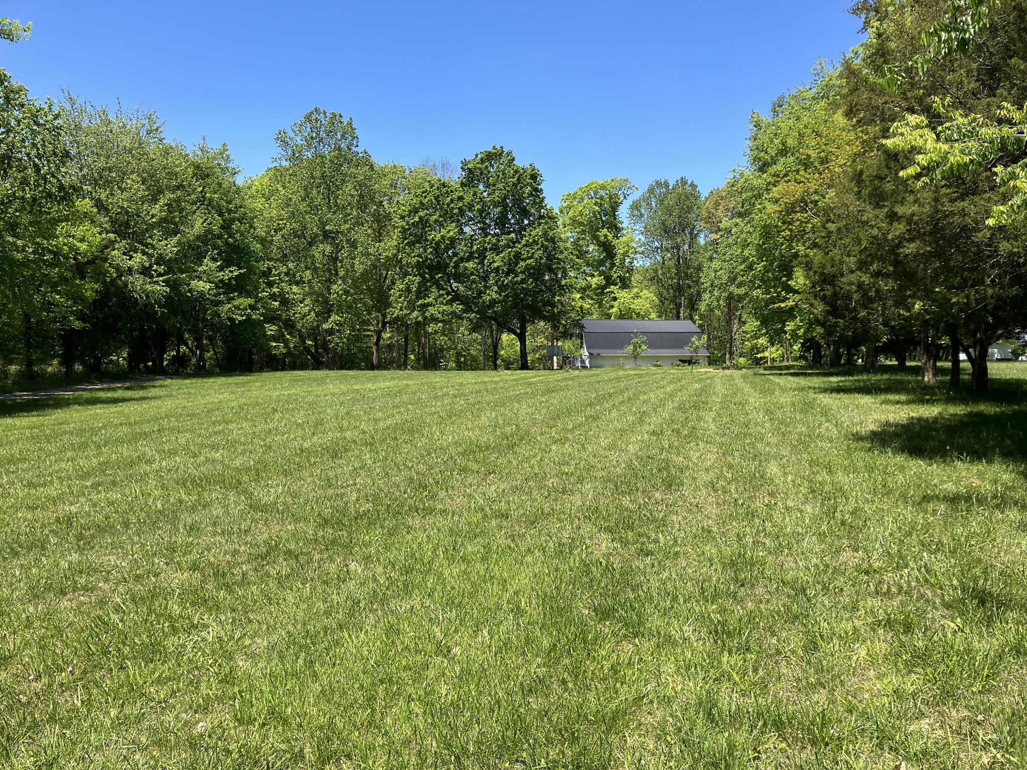 255 S Road Cottontown, TN 37048 - Photo 5 of 35 a view of a field with trees in the background