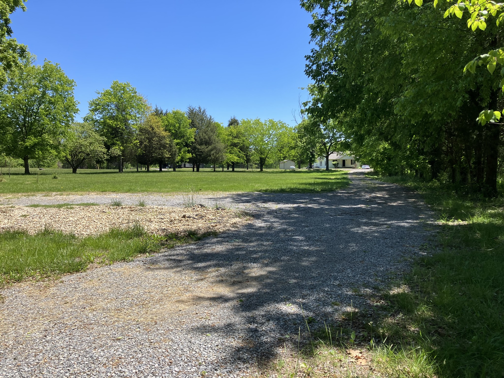 255 S Road Cottontown, TN 37048 - Photo 9 of 35 a view of outdoor space with trees