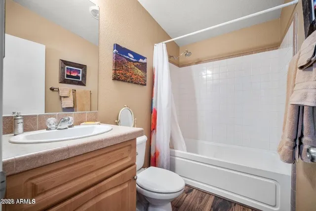 a bathroom with a sink a toilet and a bathtub
