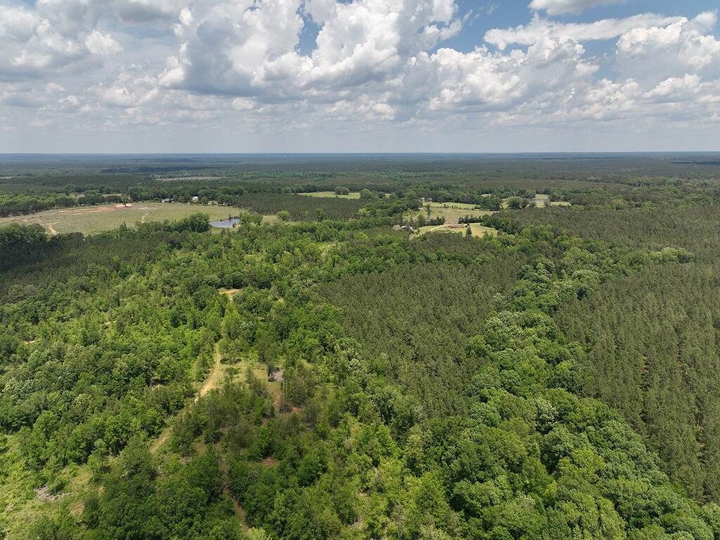 61 Simmons Road Edgefield, SC 29824 - Photo 1 of 6 resize SC_18597_Edge_DBI-6-BeblOVPa-DJI_