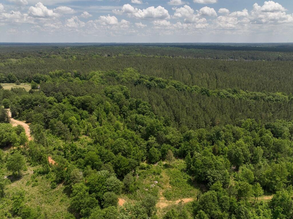 61 Simmons Road Edgefield, SC 29824 - Photo 2 of 6 resize SC_18597_Edge_DBI-21-n8xoZVIf-DJI