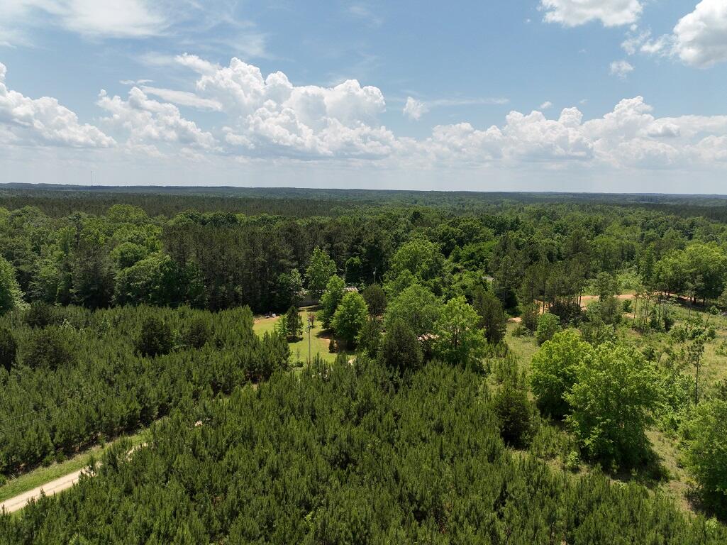 61 Simmons Road Edgefield, SC 29824 - Photo 5 of 6 SC_18597_Edge_DBI-2-CnldWcfn-DJI_0151 re