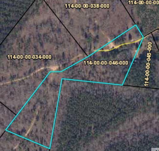 61 Simmons Road Edgefield, SC 29824 - Photo 6 of 6 photo 2