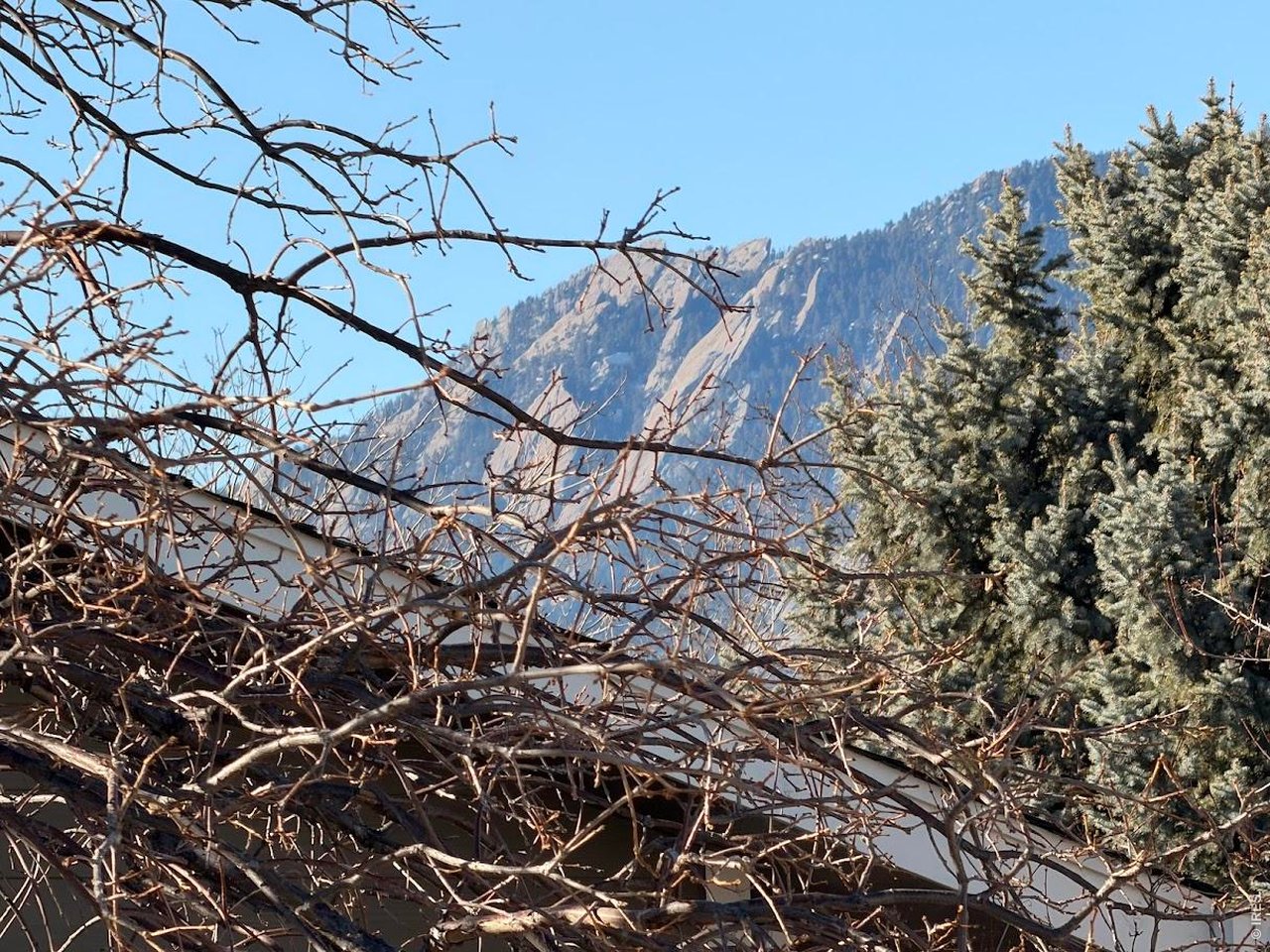 2948 Eagle Way Boulder, CO 80301 - Photo 25 of 29 a view of a yard
