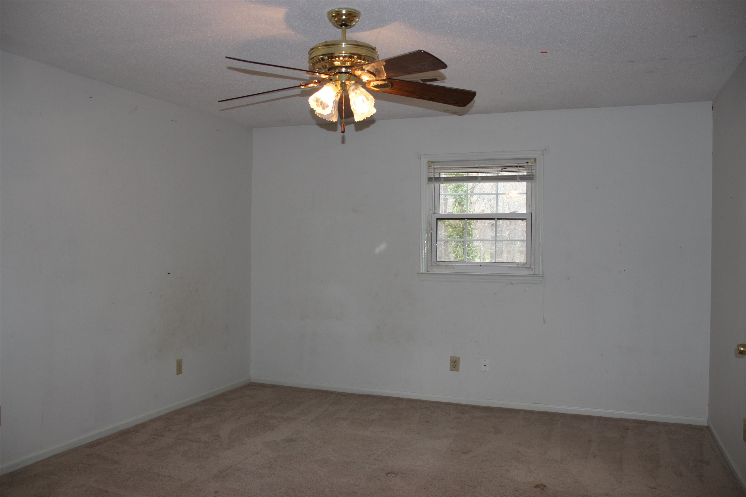 5715 Russell Road Durham, NC 27712 - Photo 30 of 49 Photo 42