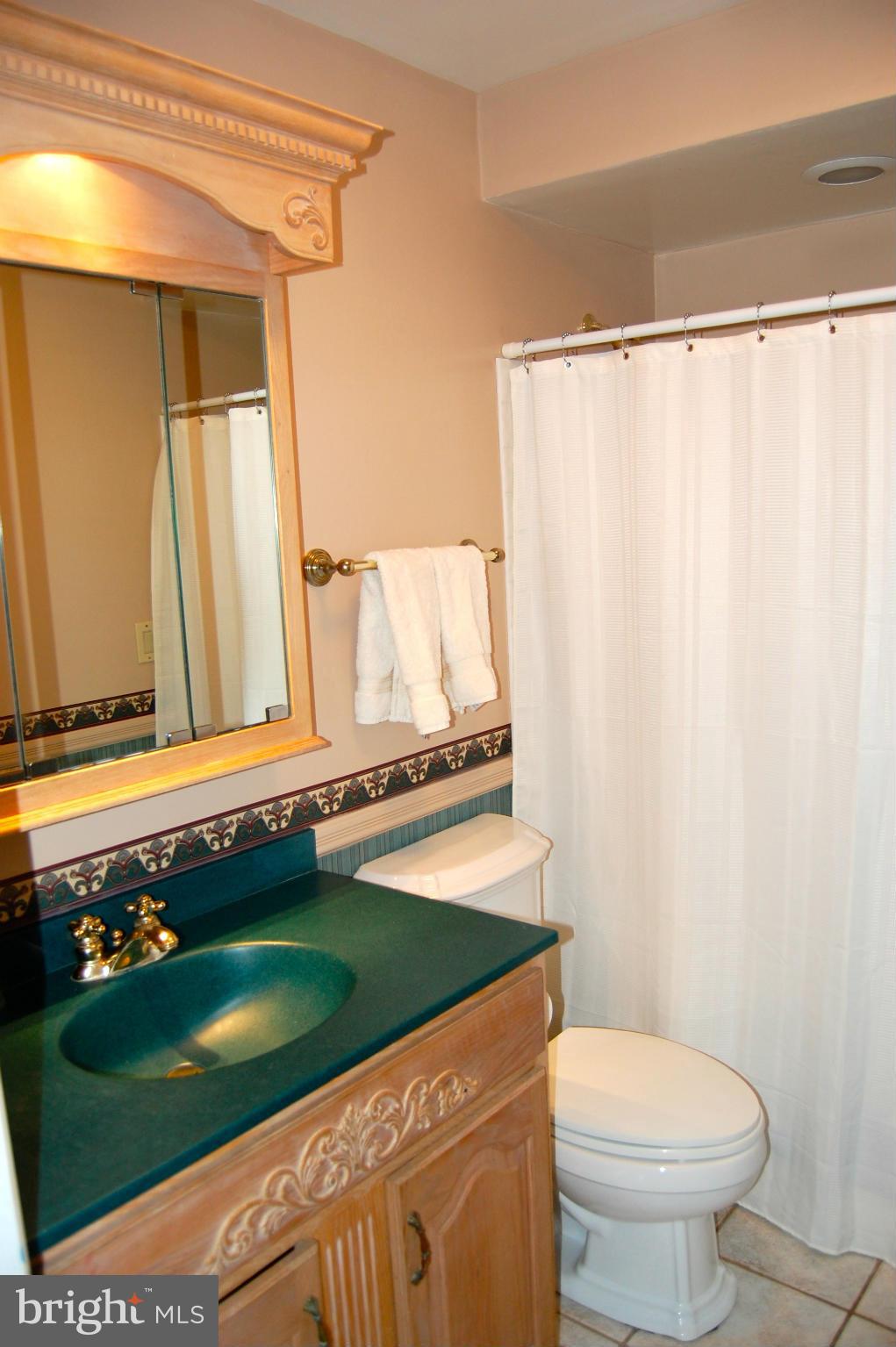 6510 Old Orchard Road Baltimore, MD 21239 - Photo 8 of 29 Bath (Master)