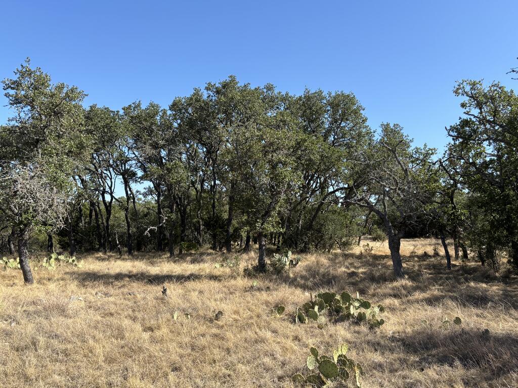0 Cr 440 Rocksprings Tx 78880 Rocksprings, TX 78880 - Photo 33 of 66 Gallery Image 33