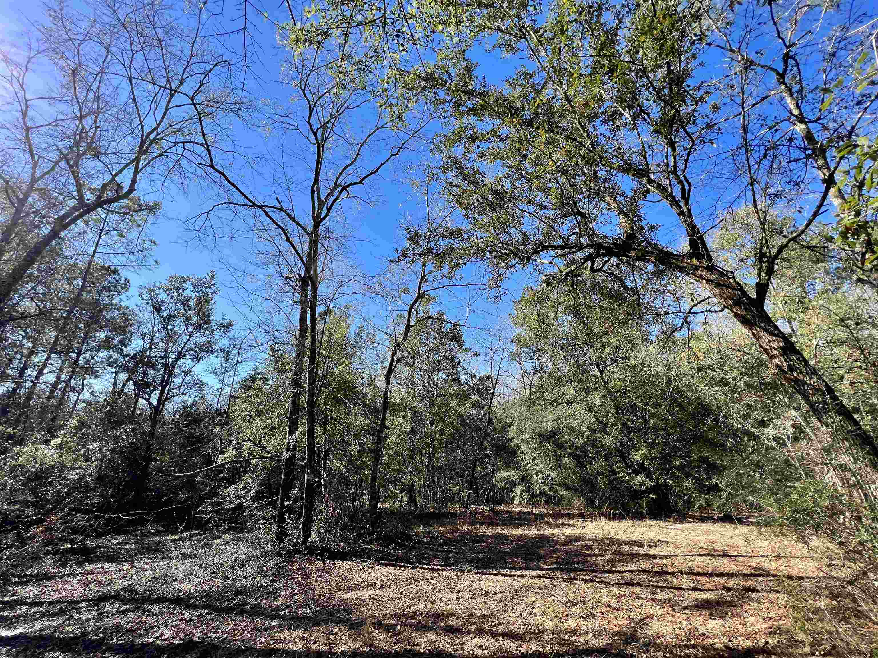 9640 Green Jordan Road Bay Minette, AL 36507 - Photo 13 of 32
