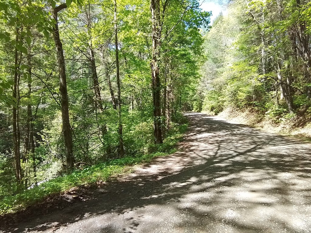 1 Prospect Road Murphy, NC 28906 - Photo 11 of 12