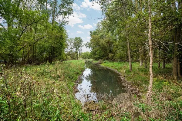 $250,000 | Lot 32-37 North Ann Street, Fowlerville, MI 48836
