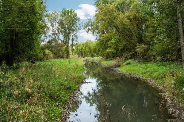 $250,000 | Lot 32-37 North Ann Street, Fowlerville, MI 48836