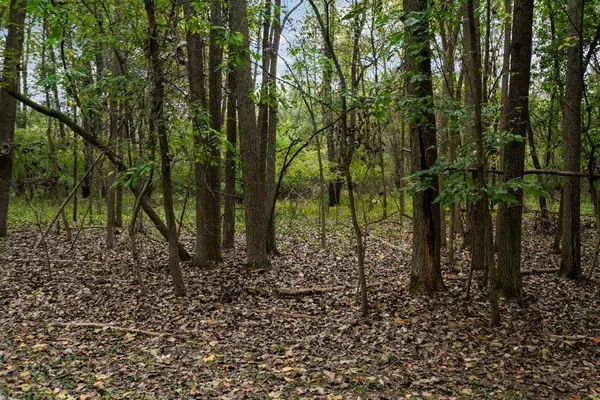 $250,000 | Lot 32-37 North Ann Street, Fowlerville, MI 48836