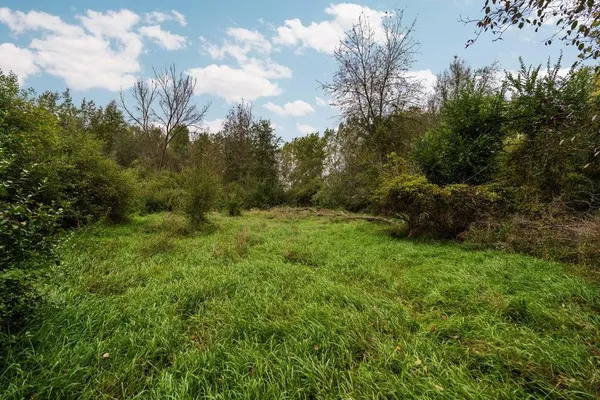 $250,000 | Lot 32-37 North Ann Street, Fowlerville, MI 48836