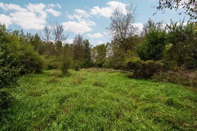 $250,000 | Lot 32-37 North Ann Street, Fowlerville, MI 48836