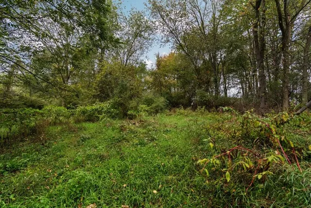 $250,000 | Lot 32-37 North Ann Street, Fowlerville, MI 48836