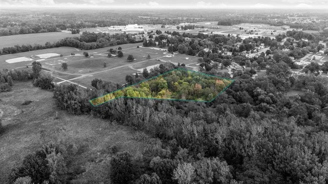 $250,000 | Lot 32-37 North Ann Street, Fowlerville, MI 48836