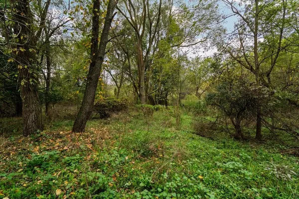 $250,000 | Lot 32-37 North Ann Street, Fowlerville, MI 48836