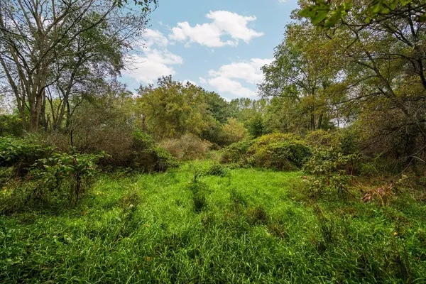 $250,000 | Lot 32-37 North Ann Street, Fowlerville, MI 48836