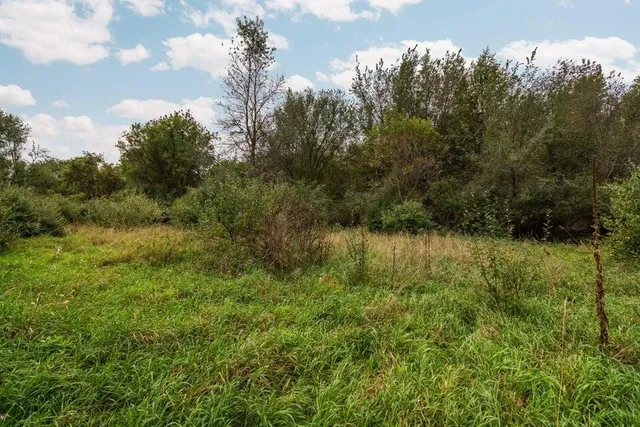 $250,000 | Lot 32-37 North Ann Street, Fowlerville, MI 48836
