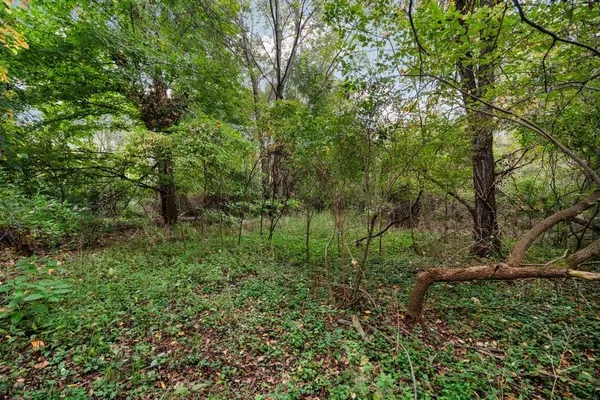 $250,000 | Lot 32-37 North Ann Street, Fowlerville, MI 48836