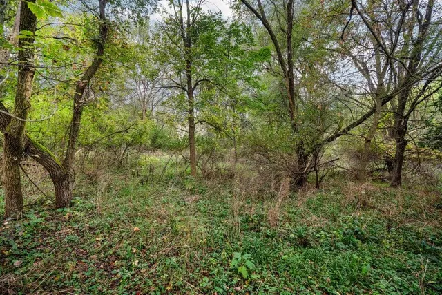 $250,000 | Lot 32-37 North Ann Street, Fowlerville, MI 48836