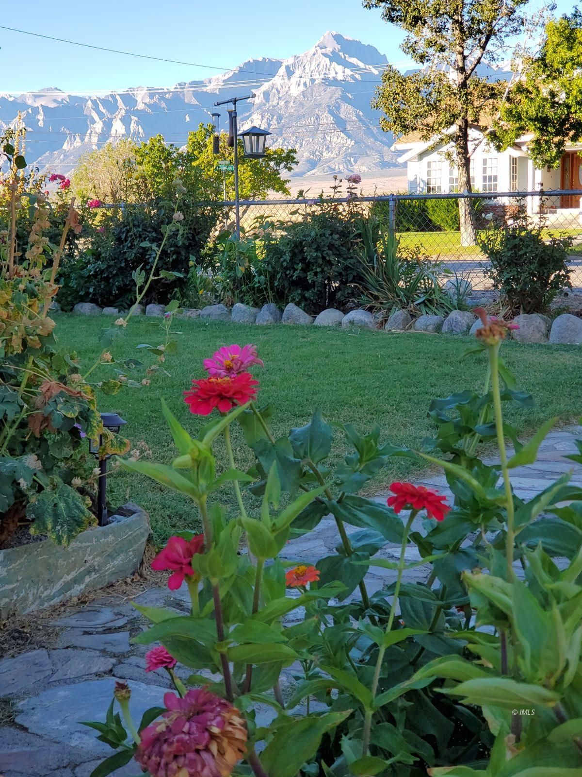 340 South Washington Street Independence, CA 93526 - Photo 3 of 18 a view of a flower in a yard with potted plants
