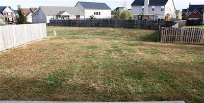2845 Jenna Rest Lexington, KY 40511 - Photo 14 of 14 View of the Rear yard. Neighbors' fences